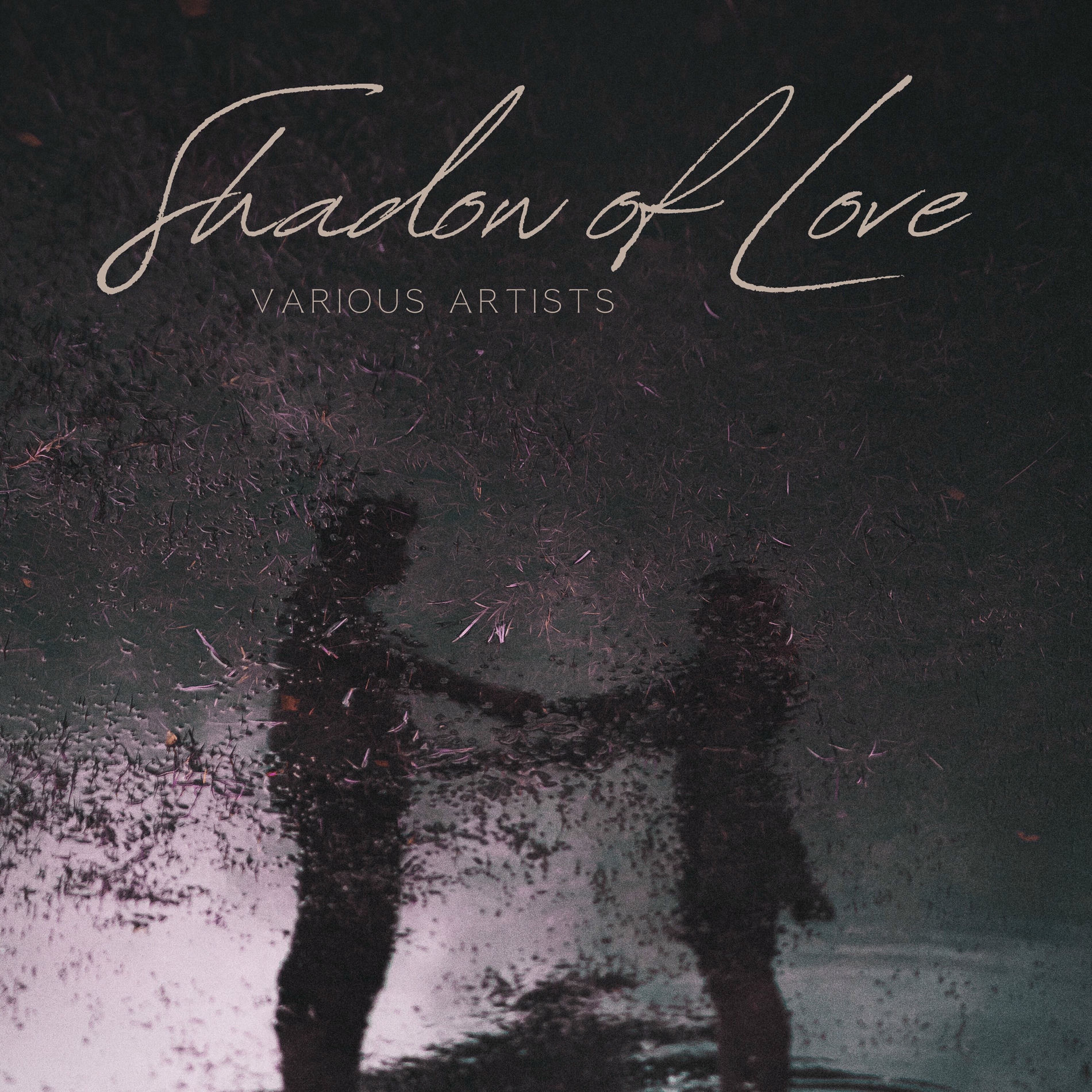 Album cover of Shadow of Love
