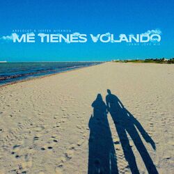 Cover of Me Tienes Volando (LDAMA Love Mix)