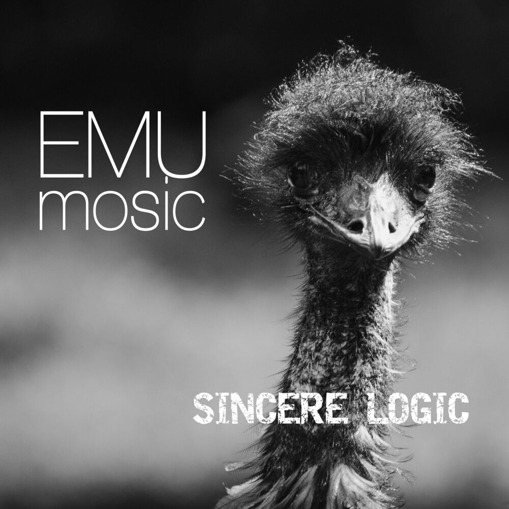 Picture of Emu Mosic