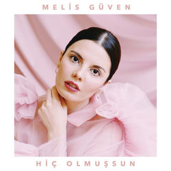 Hi&ccedil; Olmuşsun