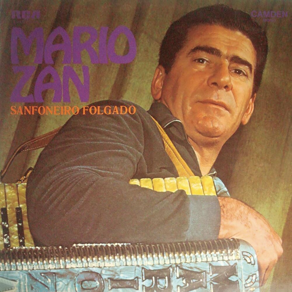 Picture of Sanfoneiro Folgado