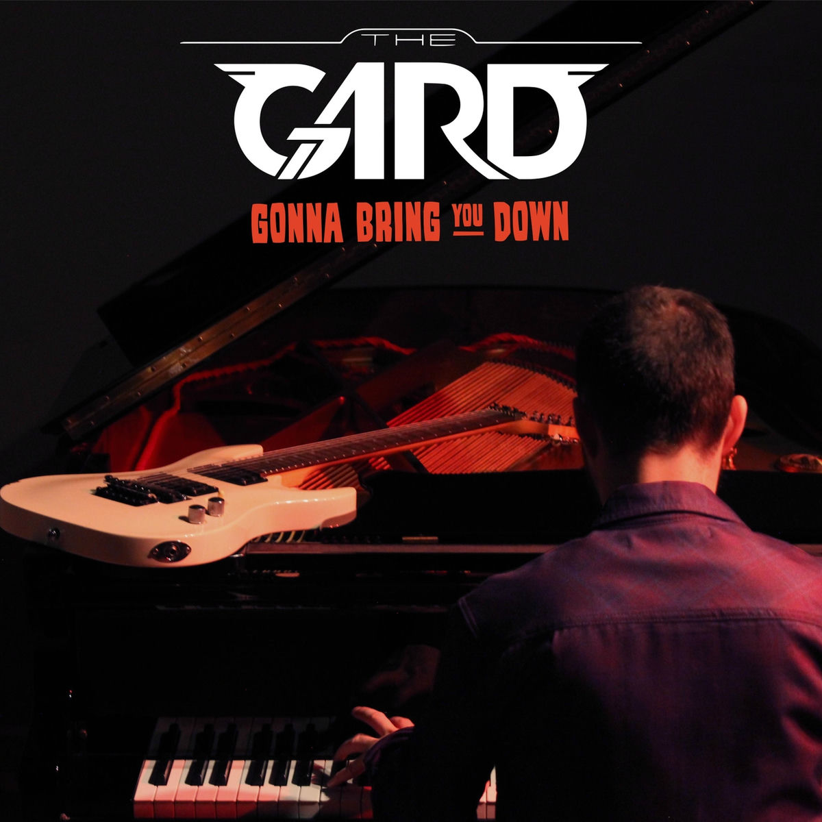 Album cover of Gonna Bring You Down