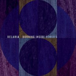 Cover of Burning Inside (Remixes)