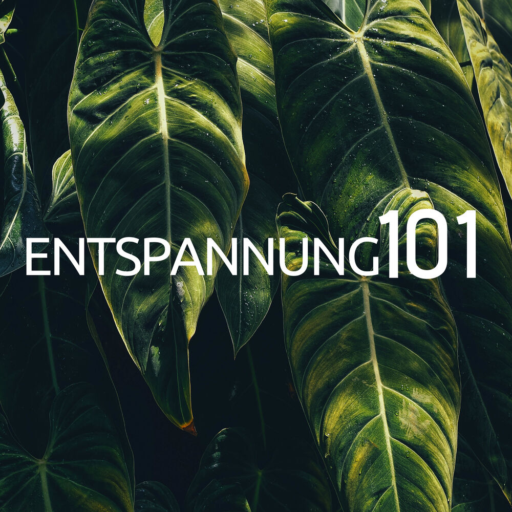 Picture of Entspannung 101 - Essentielle entspannende Lieder mit der Natur klingen nach Ruhe, Glück und Ruhe