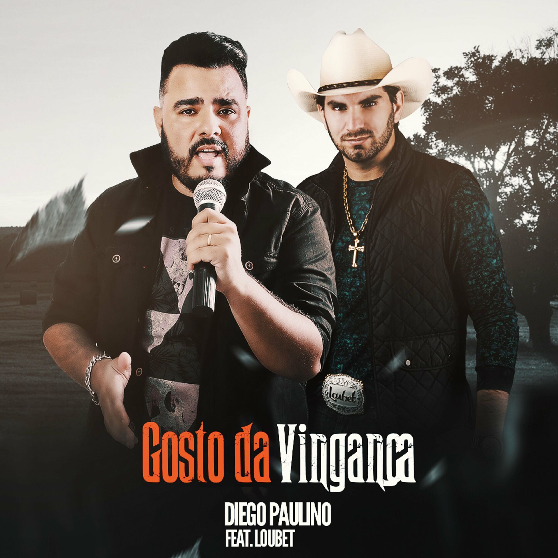 Album cover of Gosto da Vingança