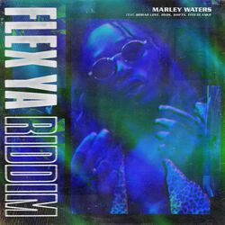 Cover of Flex Ya Riddim
