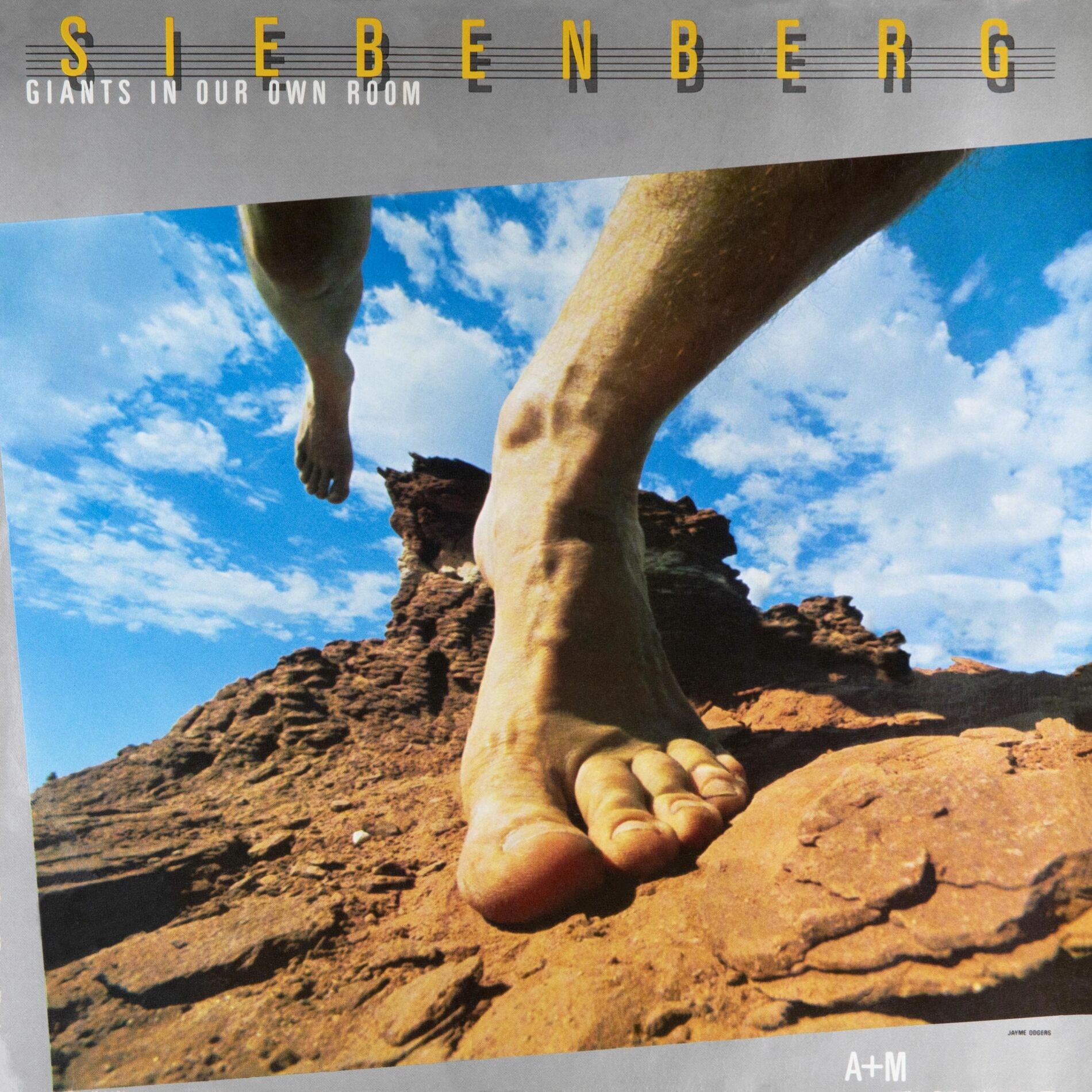 Album cover of C'est le Dip
