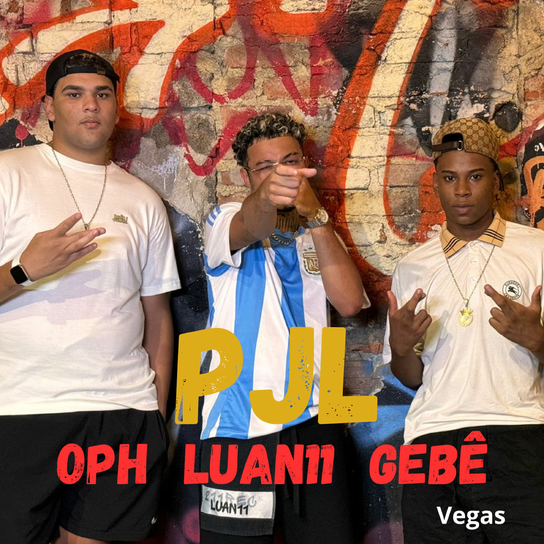 Album cover of Pjl