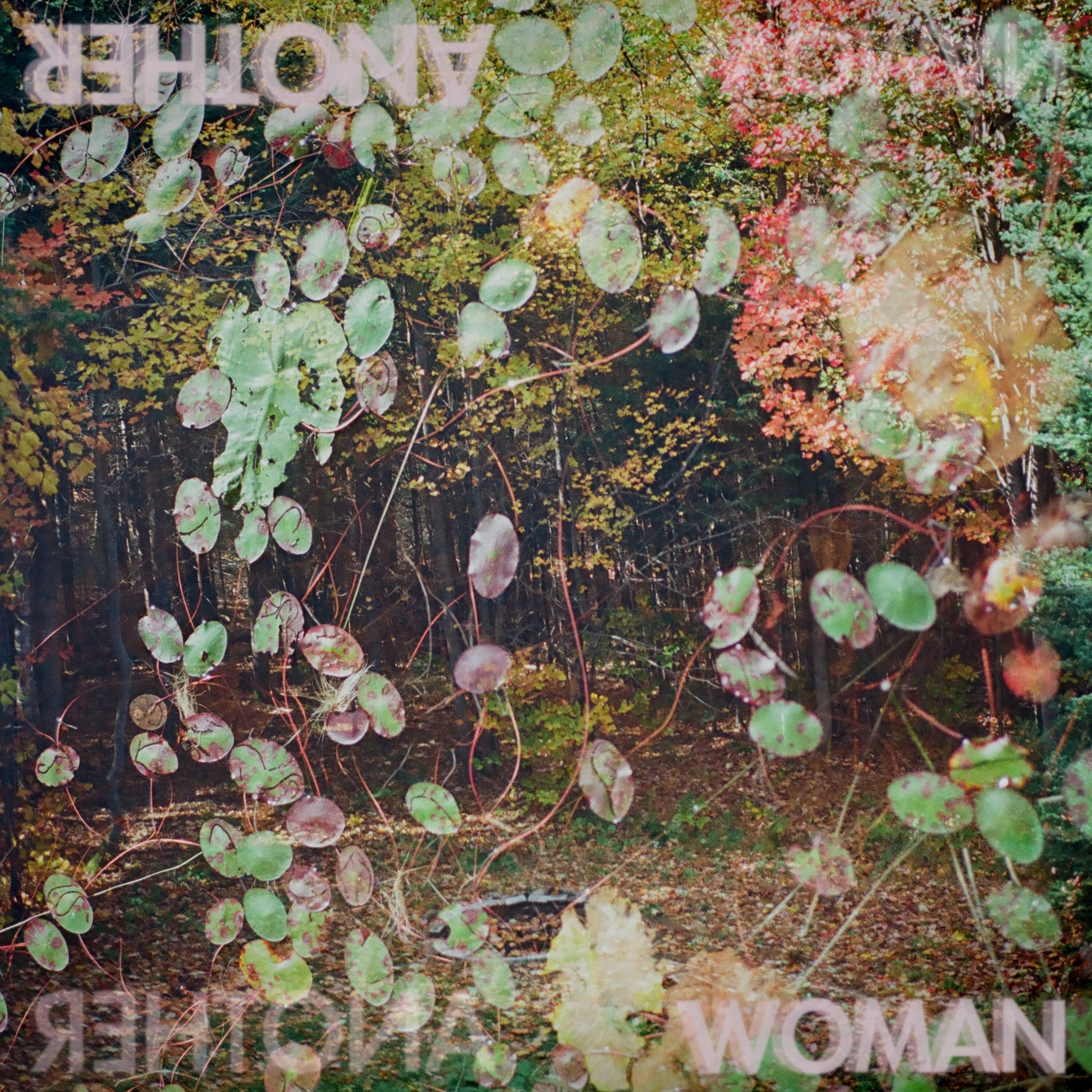 Album cover of Another Woman