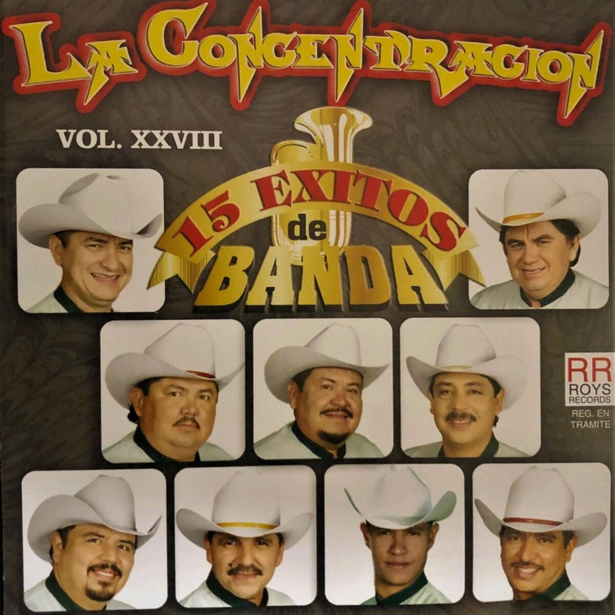 Album cover of 15 Éxitos de Banda, Vol. XXVIII