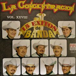 Cover of 15 Éxitos de Banda, Vol. XXVIII
