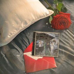 Cover of Meu Travesseiro