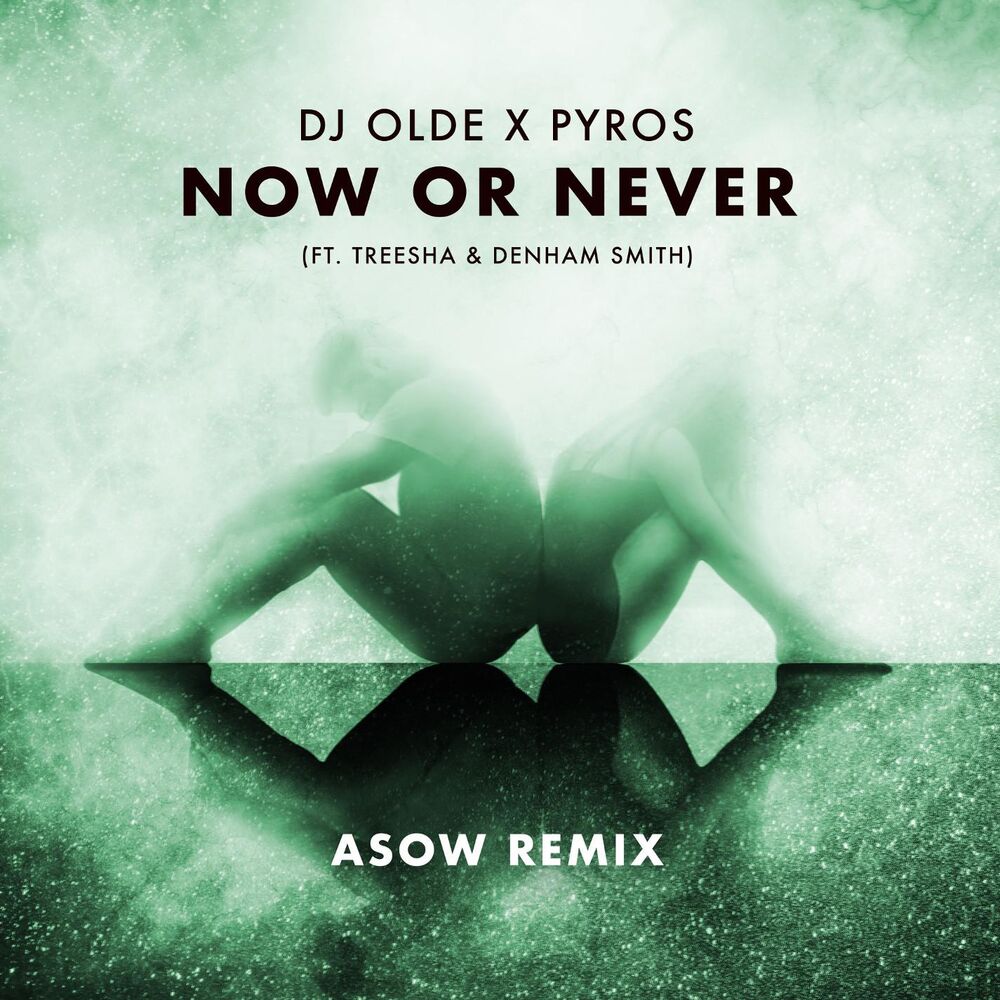 Picture of Now or Never (feat. Treesha & Denham Smith) [Asow Remix]