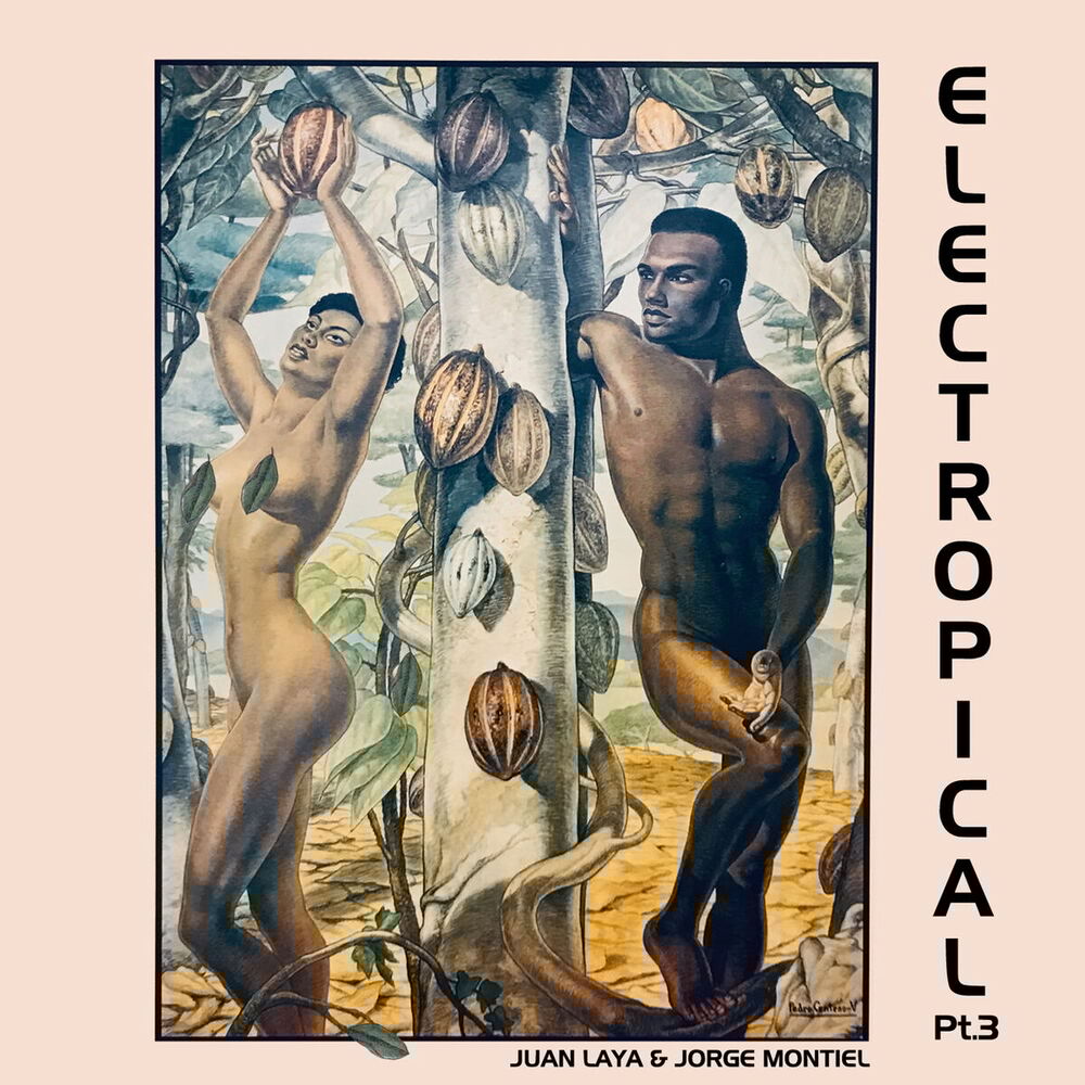 Picture of Electropical Pt. 3