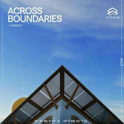 Cover of Synergy