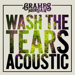 Cover of Wash the Tears (Acoustic)