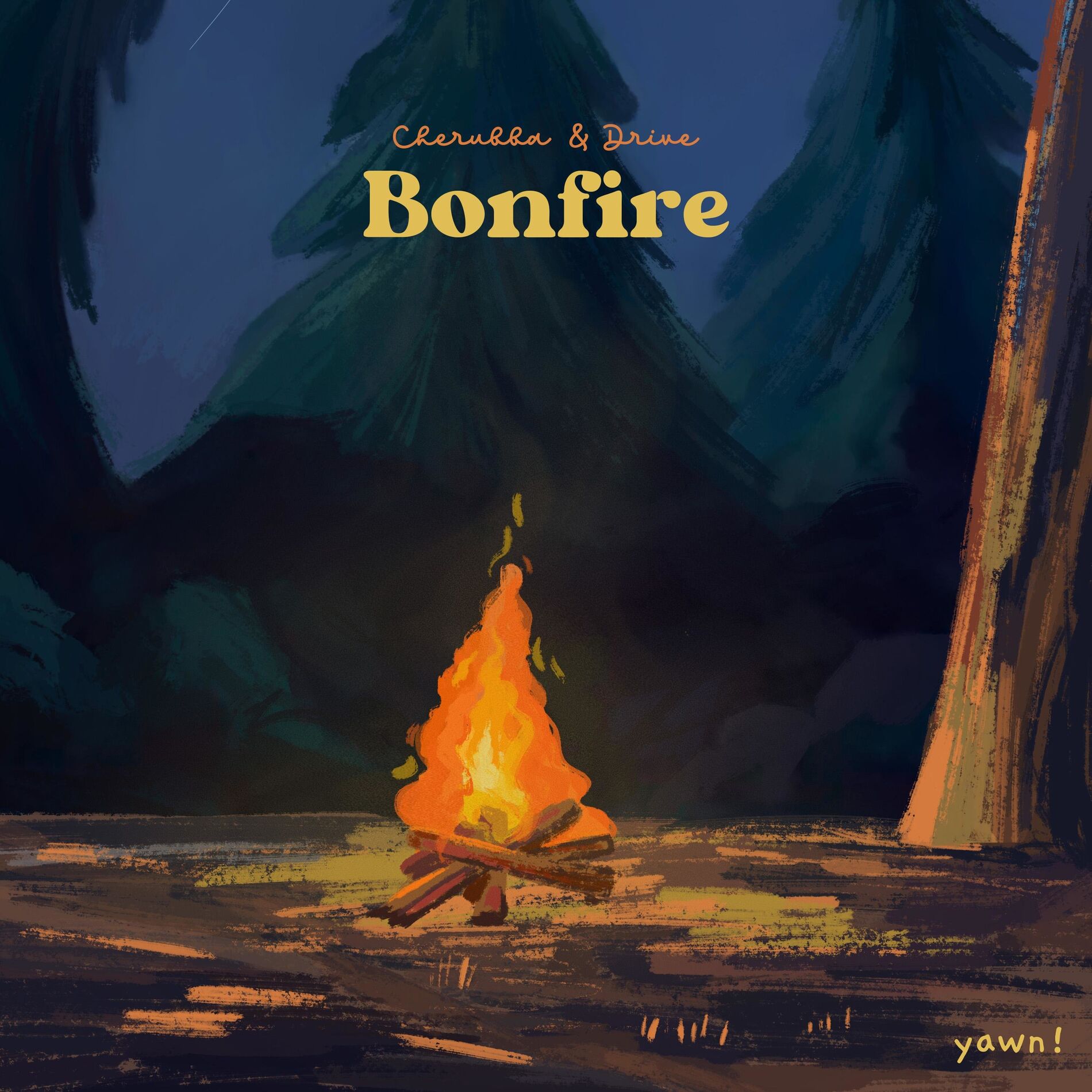 Album cover of Bonfire