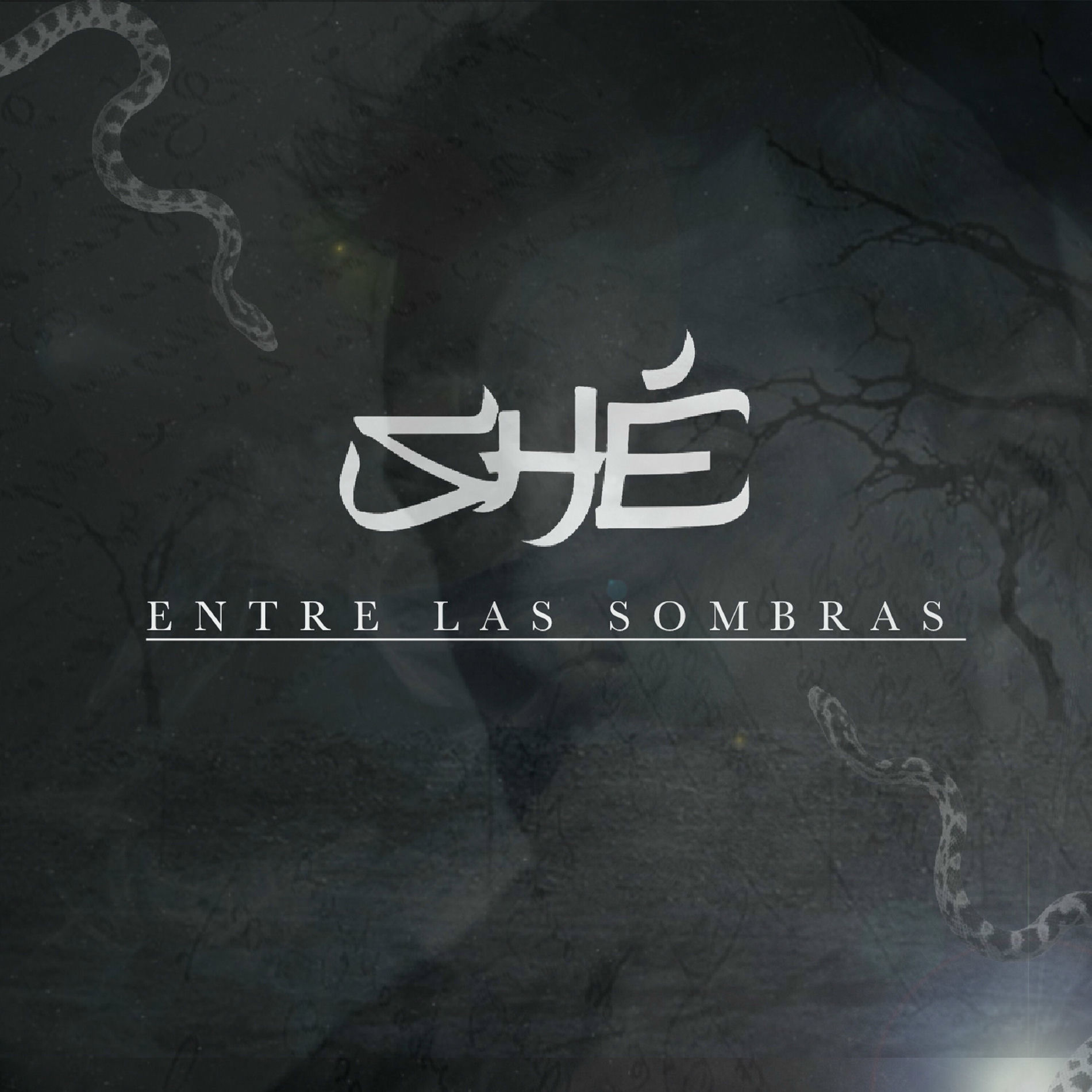 Album cover of Entre las Sombras