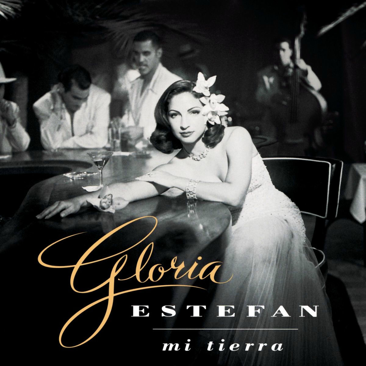 Album cover of Mi Buen Amor