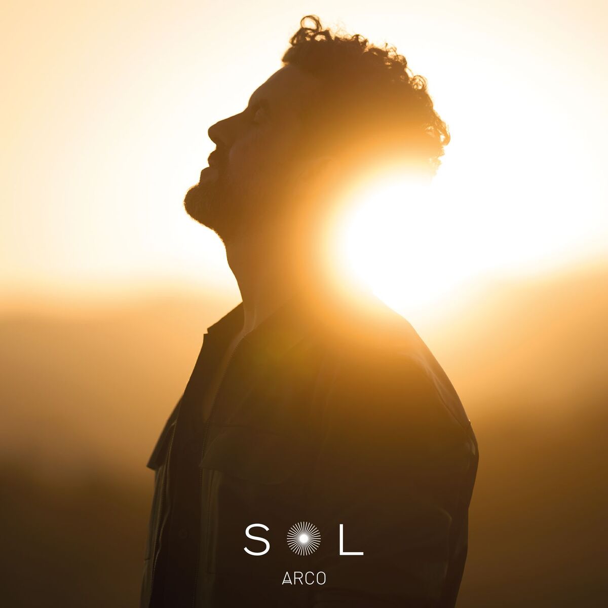 Album cover of Sol