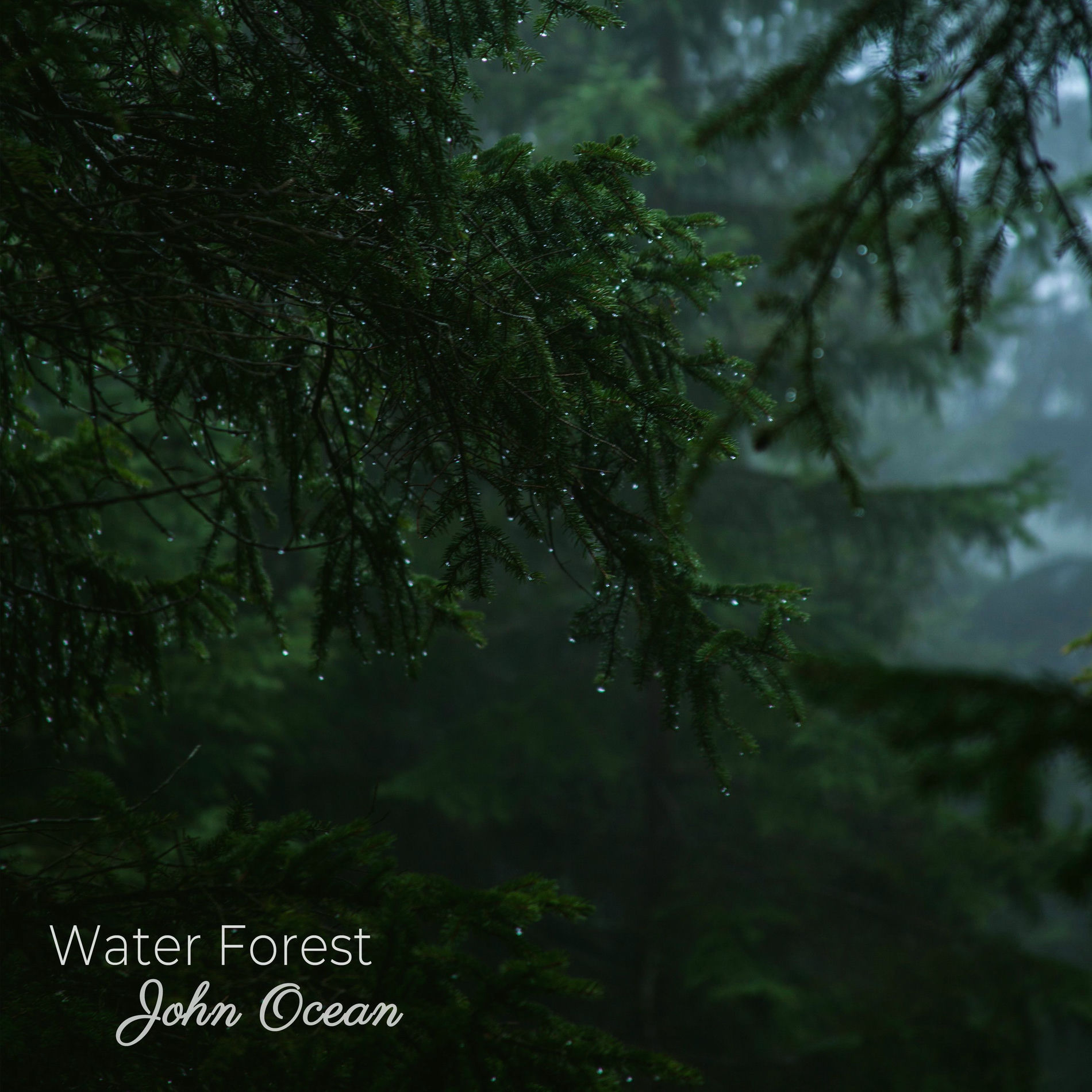 Album cover of Water Forest