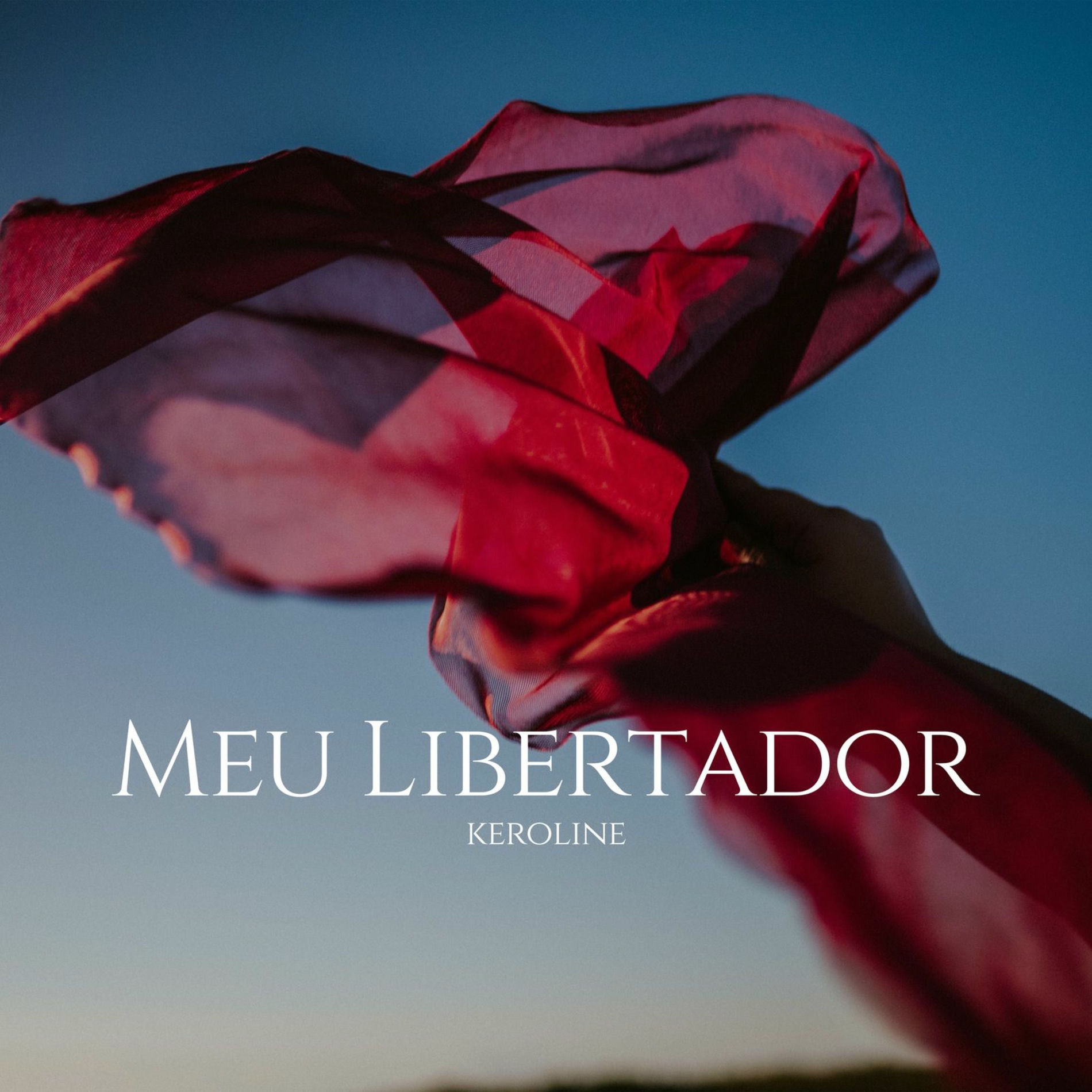 Album cover of Meu Libertador