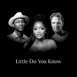 Cover of LITTLE DO YOU KNOW (piano diaries)