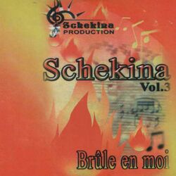 Cover of Schekina, Vol. 3 (Brûle en moi)