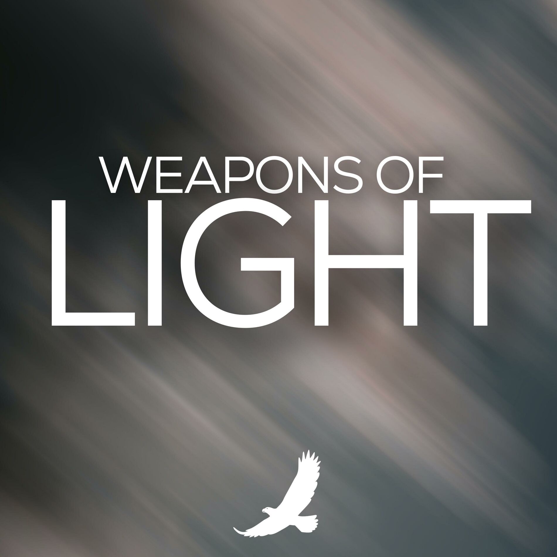 Album cover of Weapons of Light (feat. Instrumental Worship And Prayer)