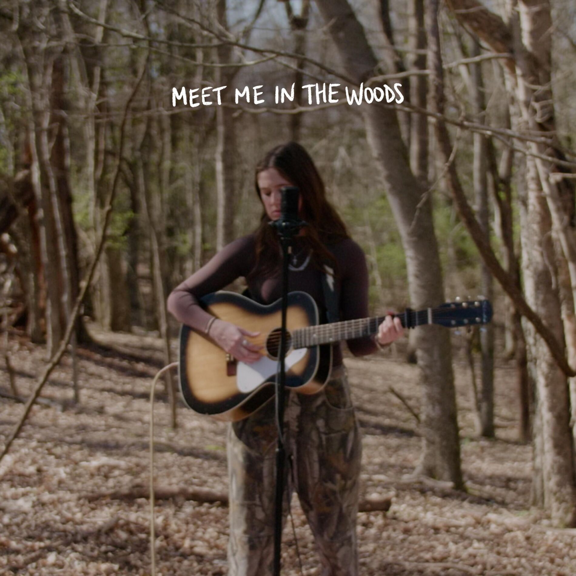Album cover of Meet Me in the Woods