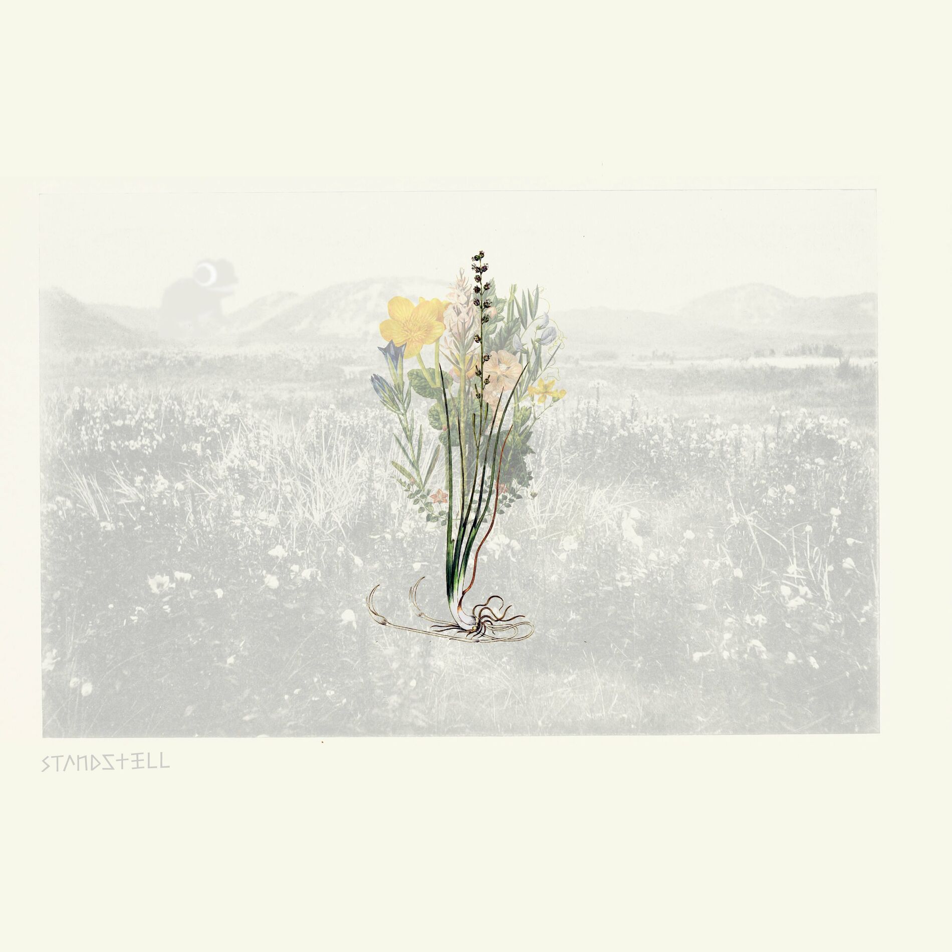 Album cover of Standstill
