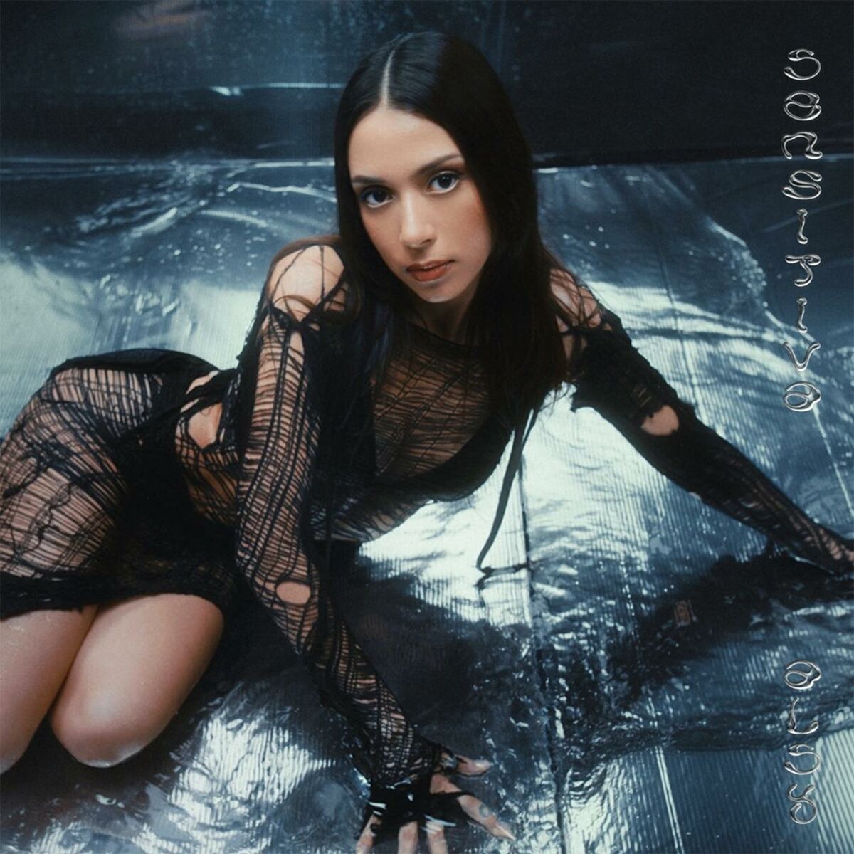 Album cover of Sensitiva