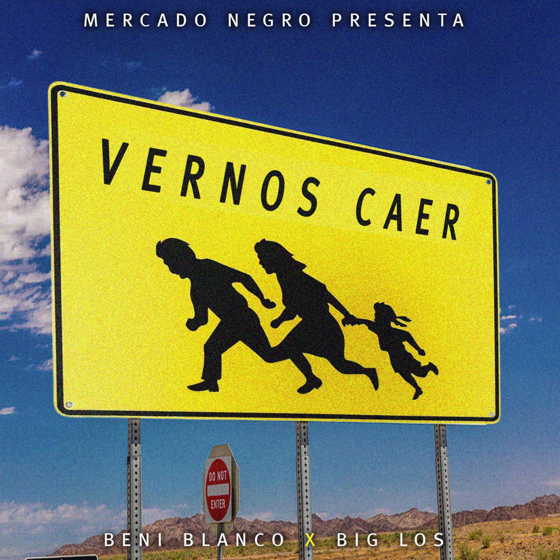 Album cover of Vernos Caer