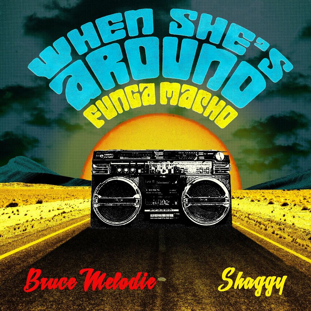 Picture of When She's Around (Funga Macho) Remixes