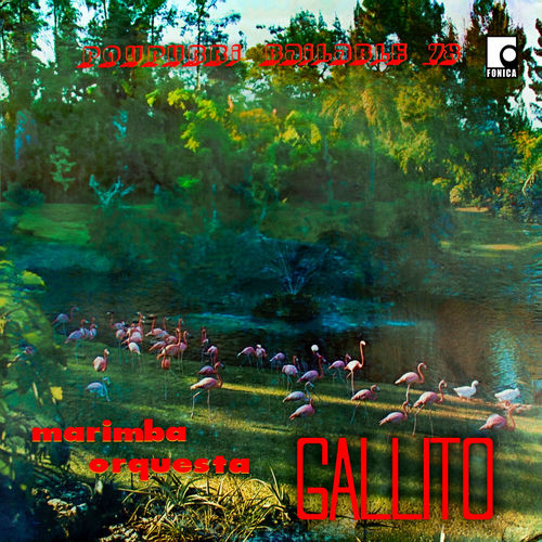 Poupurri Bailable 78 Marimba Orquesta Gallito Deezer