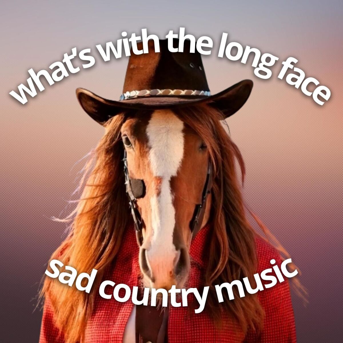 Album cover of what's with the long face sad country music