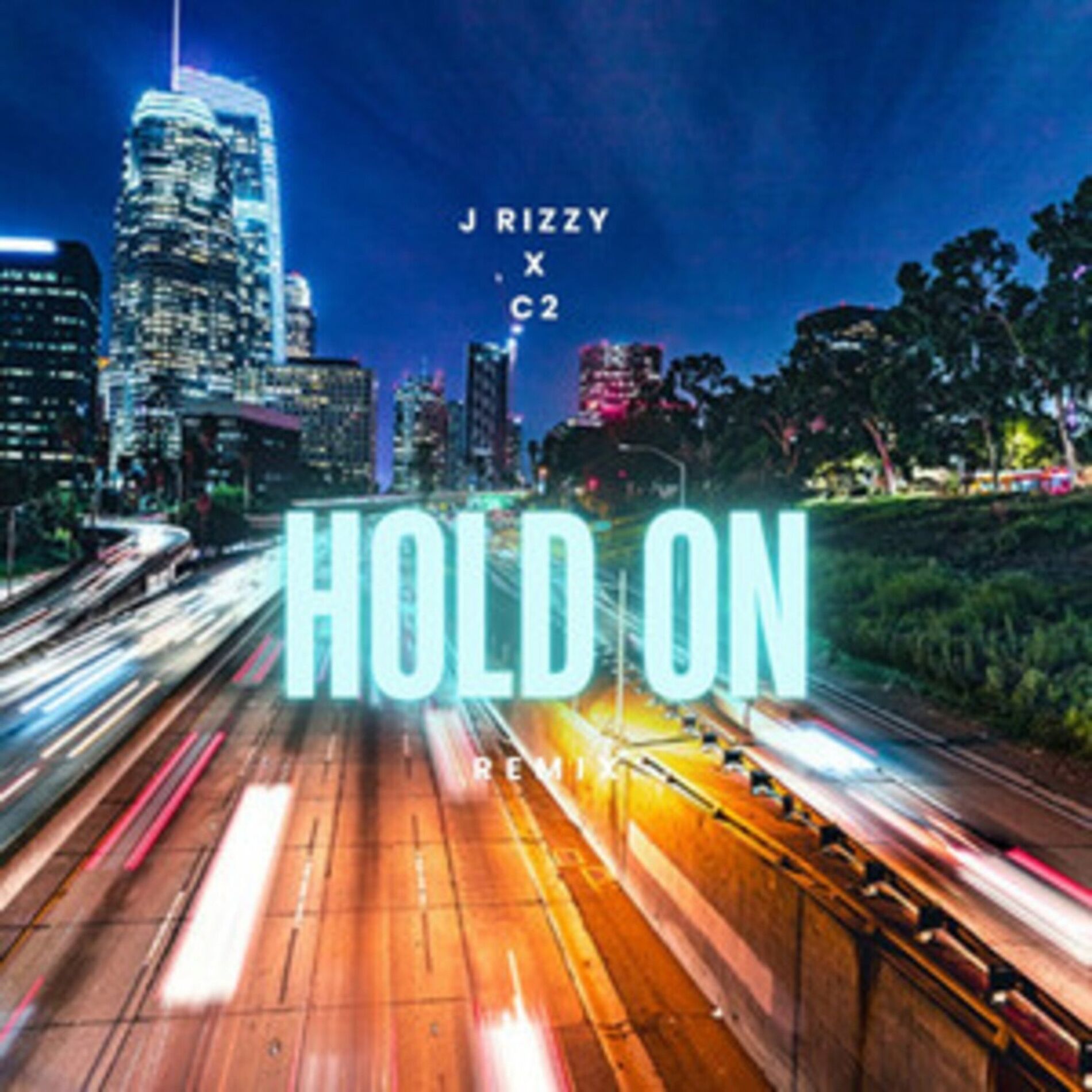 Album cover of Hold On