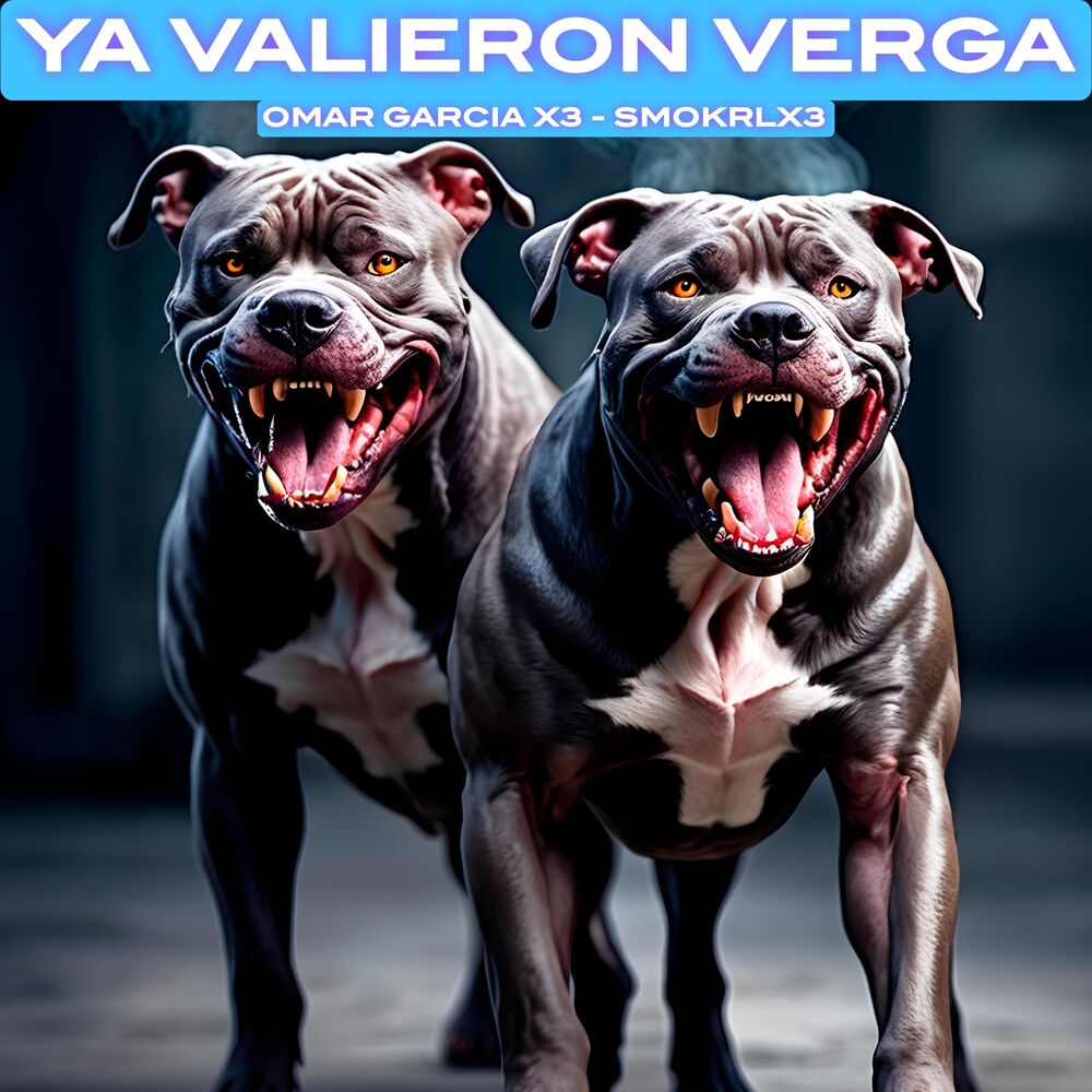Picture of YA VALIERON VERGA
