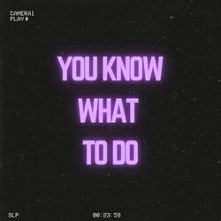 Cover of You Know What To Do