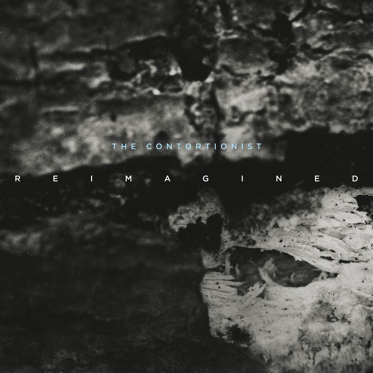 Album cover of Reimagined