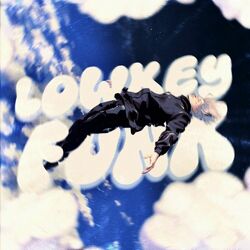 Cover of LOWKEY FUNK