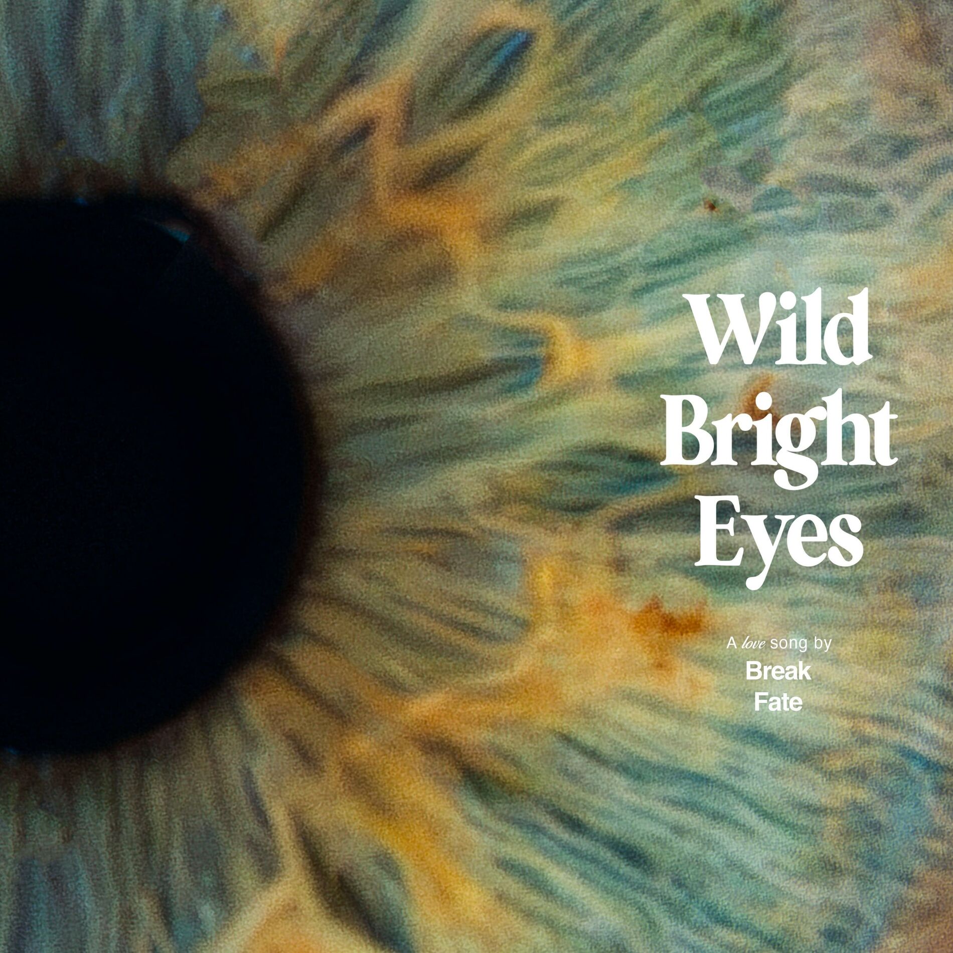 Album cover of Wild Bright Eyes