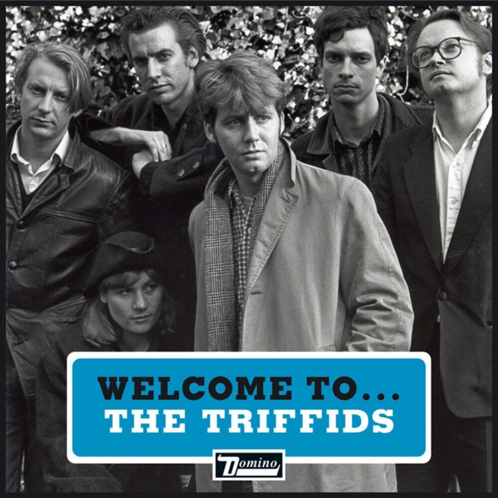 Picture of Welcome to the Triffids