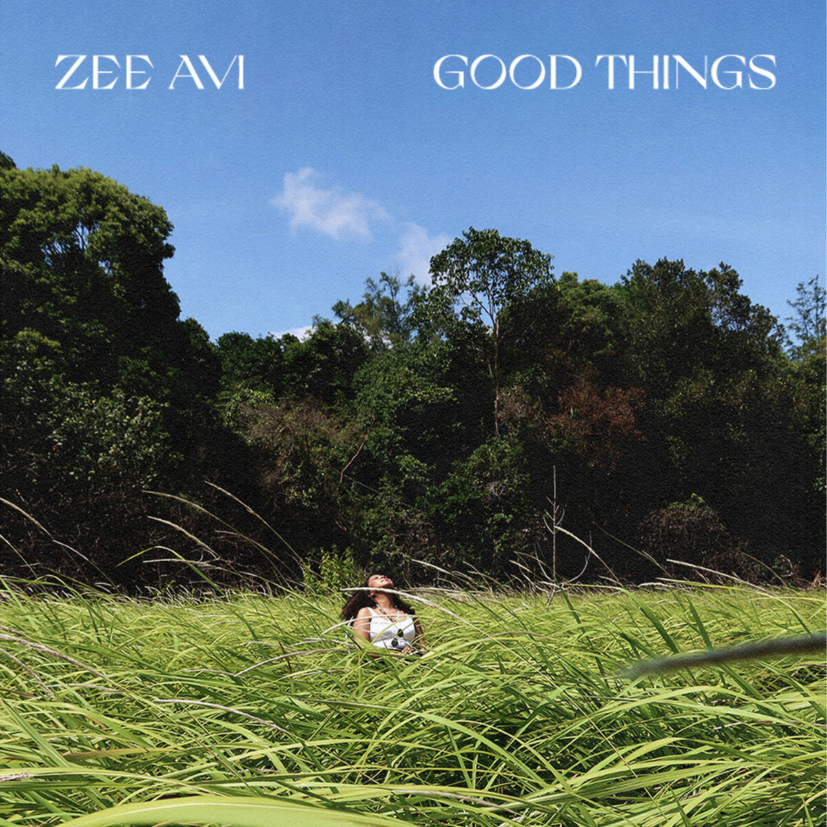 Album cover of Good Things