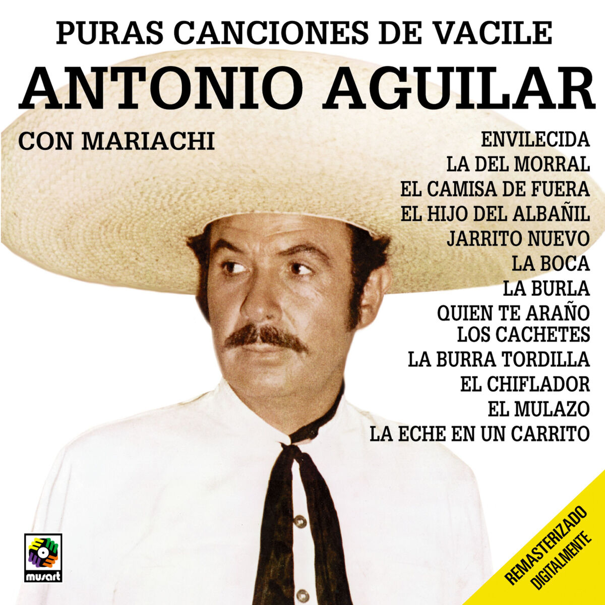 Album picture of Puras Canciones de Vacile