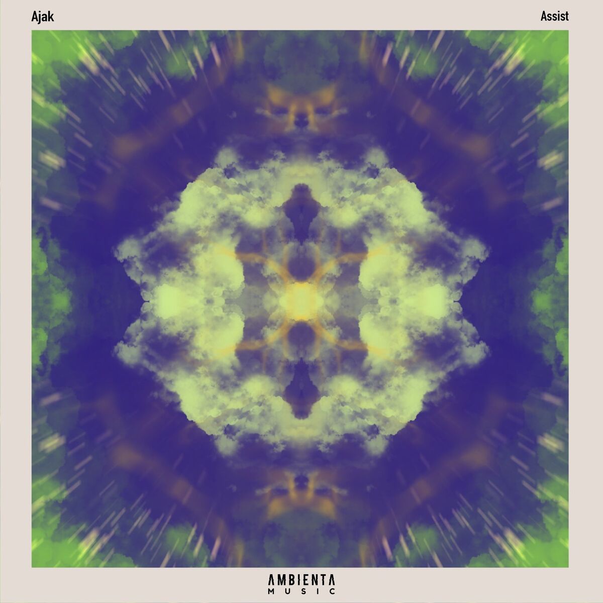 Album cover of Assist