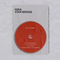 Cover of Star Bridge
