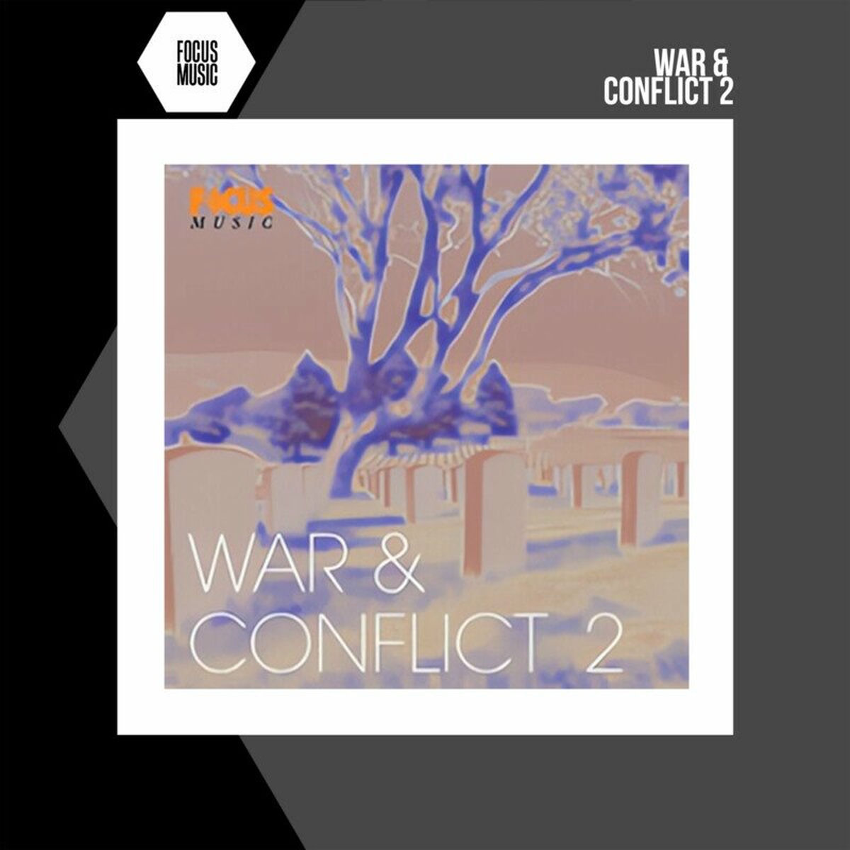 Album cover of War & Conflict 2