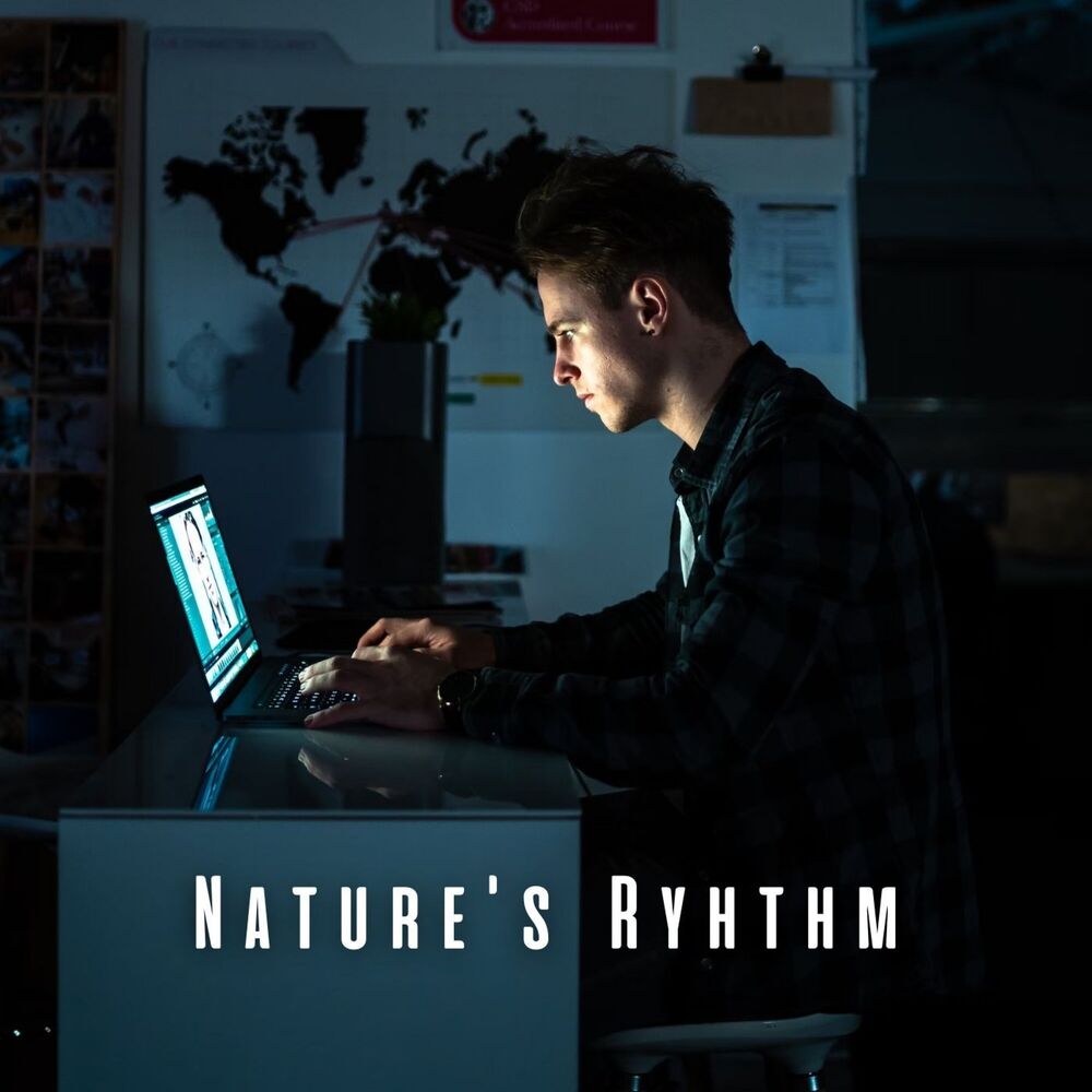 Picture of Nature's Rhythm: Chill Bird Sounds for Enhanced Focus at Work