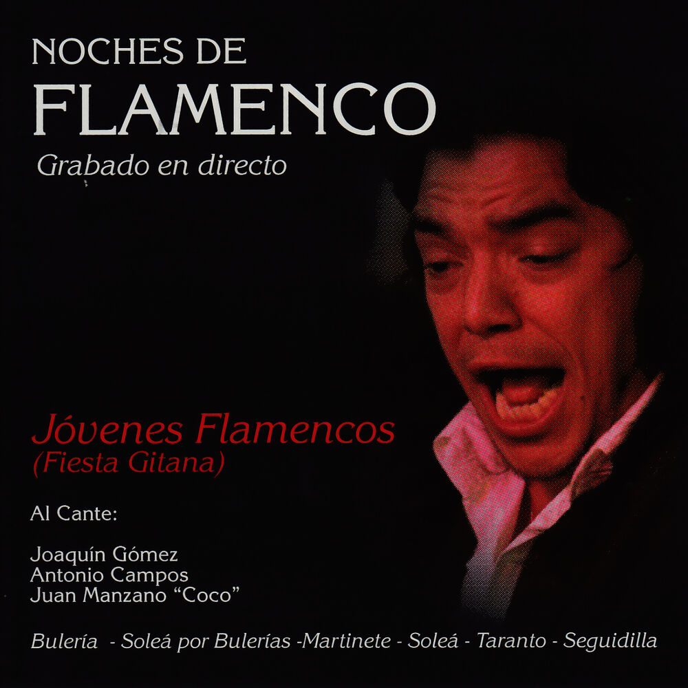 Picture of Noches de Flamenco - Jovenes Flamencos (Fiesta Gitana)